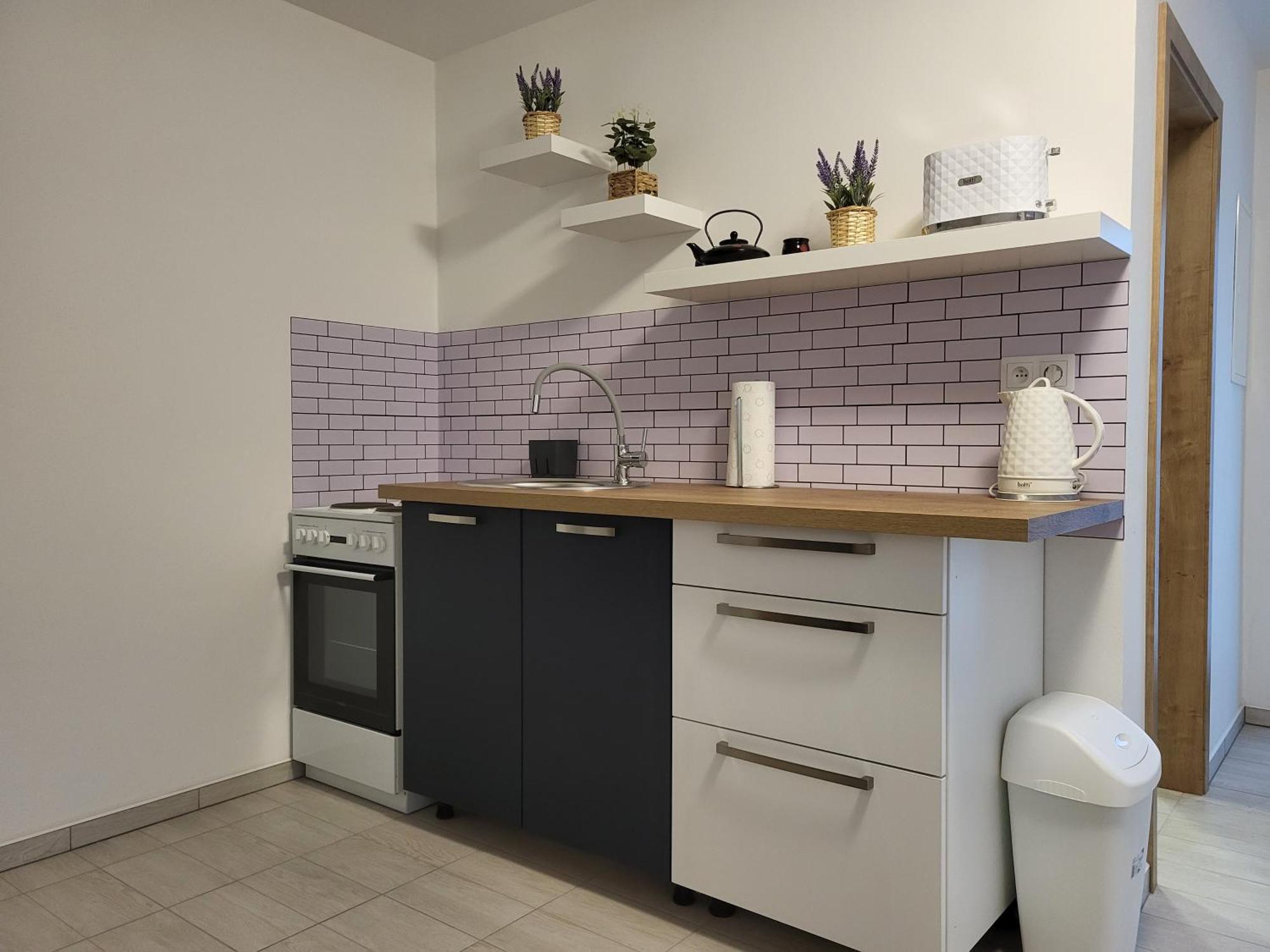 Apartman Na Karlicku Karlov  Eksteriør bilde