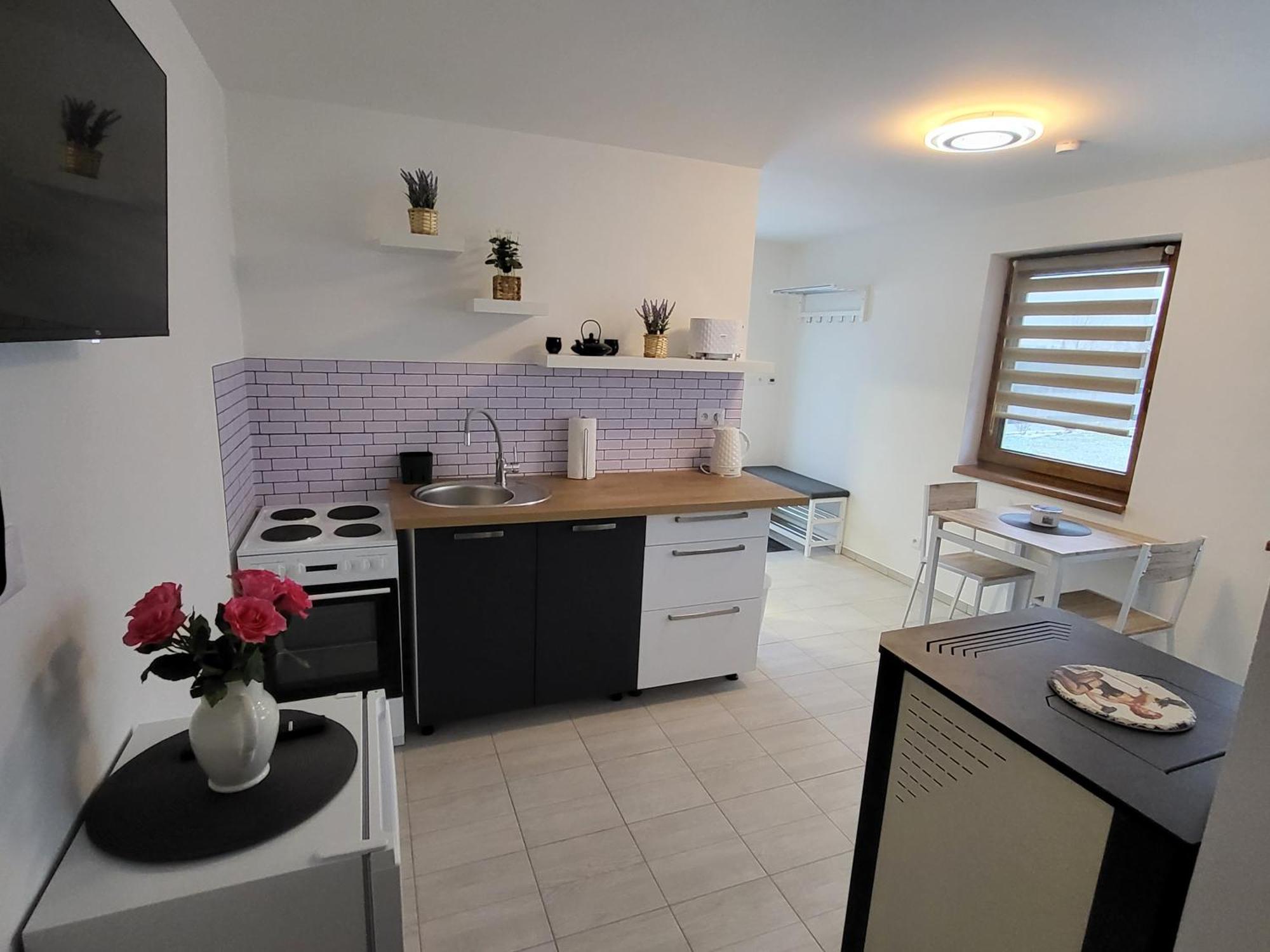 Apartman Na Karlicku Karlov  Eksteriør bilde